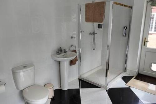 a bathroom with a shower and a toilet and a sink at Stratford 4 BR Family Mansion with Pool, Gym BBQ in Henley in Arden