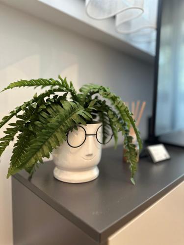 a plant in a vase with glasses on a table at District 21 in Belgrade