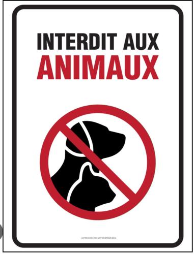 a sign that reads incident aux ammonia with a prohibitory sign at Grand appartement ensoleillé, suite parentale, 2 salons, 2 salles de bains, 2piscines, stationnement privé, à 750m de la plage Mimosa in Pont Blondin