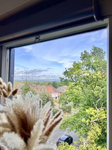 Charming apartment near NEC and Birmingham Airport photo 12