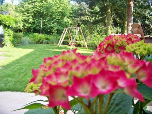 a pink flower in front of a garden with a swing yard at Pension Wendler in Bedburg