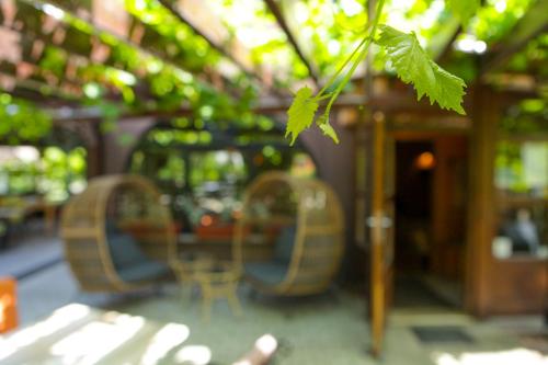a group of chairs and a table in a restaurant at Gorski vrt in Novi Sad