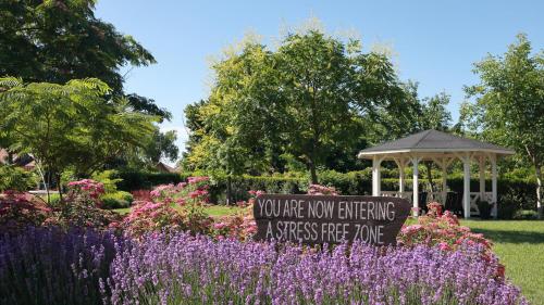 Tisza Lodge B&B - Panzió