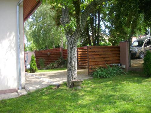 a tree in a yard next to a fence at House Hévíz in Hévíz