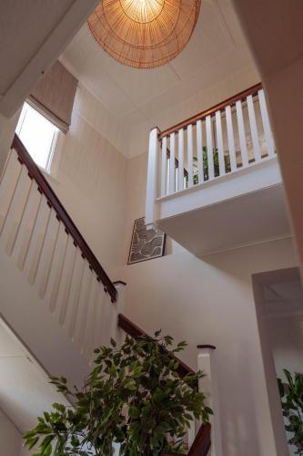 a hallway with stairs and a potted plant at Stoep By Ideas Cartel in Kalk Bay