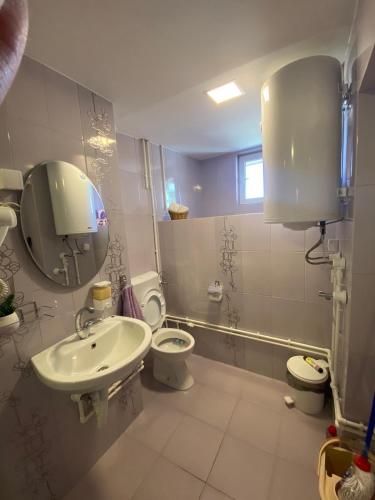 a bathroom with a sink and a toilet and a mirror at Apartmani Milojić in Soko Banja