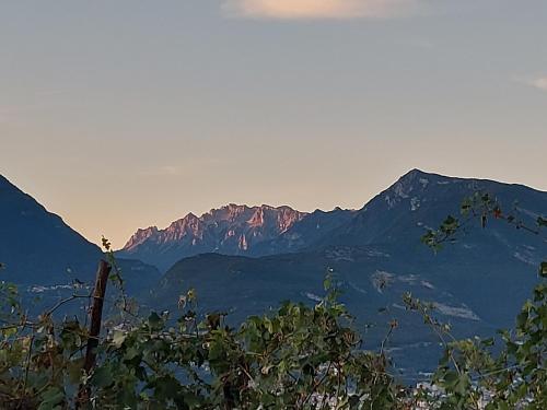 Gallery image of Agritur Maso Spezial in Villa Lagarina