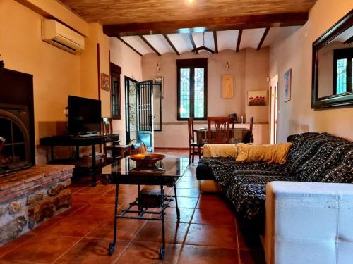 a living room with a couch and a fireplace at Torreon de Nubla in Cazorla