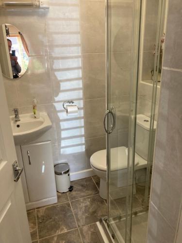 a bathroom with a shower and a toilet and a sink at Warwick Home From Home in Warwick
