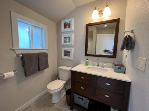 a bathroom with a toilet and a sink and a mirror at The Midtown Cottage- w/ Private Entrance and Views in Santa Cruz