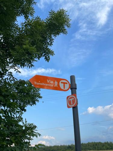 a street sign on top of a pole at Valea Salbatica in Şinca Nouă