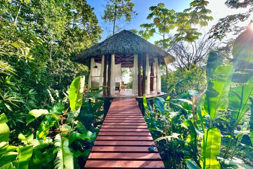 Finca Terra Incognita - Wood cabins in the jungleにある庭