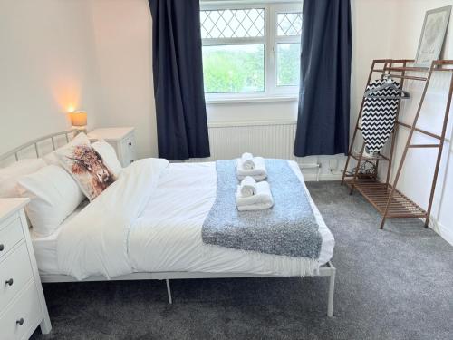 Hillrise - 3 bedroom house with garden photo 5