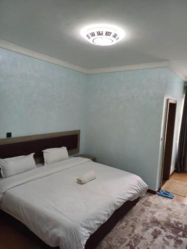 内罗毕Blonch's Airbnbs的一间卧室设有一张大床,天花板上拥有灯光