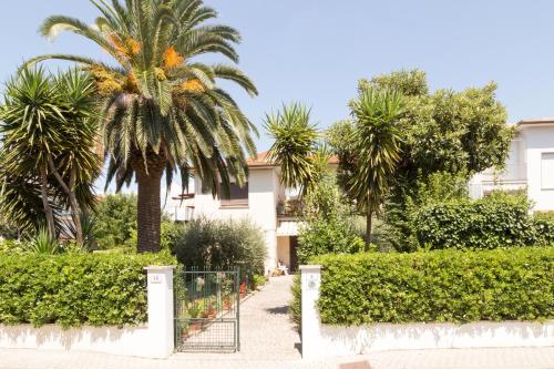 a palm tree in front of a building at Casa La Palma in Vecchiano