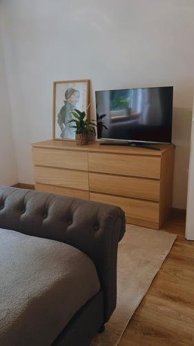 a living room with a couch and a flat screen tv at Ruhige Unterkunft in der Innenstadt in Lichtenau