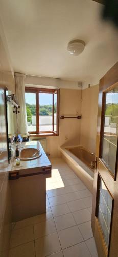 a bathroom with a sink and a bath tub at Residenza Ariete Vista Paganella in Terlago
