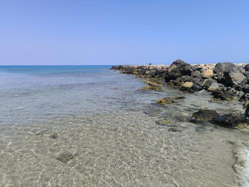 Naturlandskabet i nærheden af lejligheden