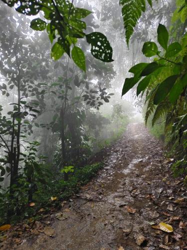 Landskap semula jadi dekat dengan penginapan di ladang