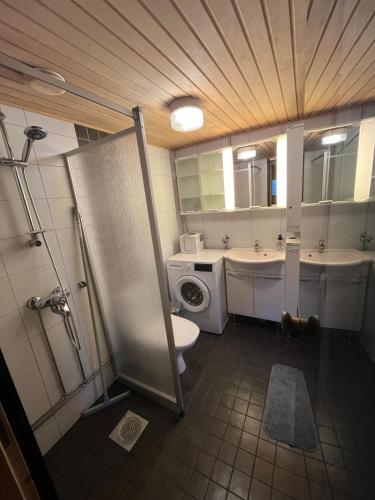 a bathroom with a shower and a toilet and a sink at HonkaRuka, Agrohonka in Ruka