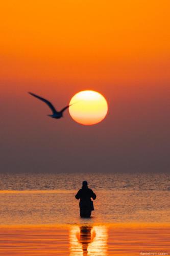 a person standing on the beach with a bird flying over the ocean at Casa Dochia in Sfântu Gheorghe