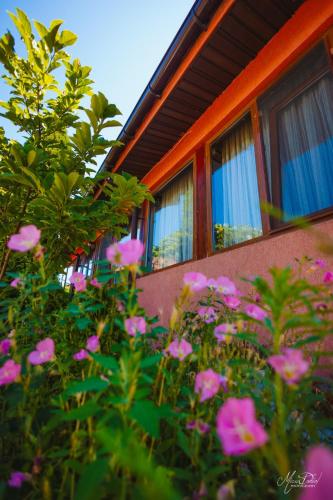 a group of pink flowers in front of a house at Casa Dochia in Sfântu Gheorghe