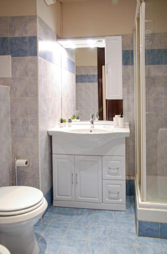 a bathroom with a sink and a toilet and a shower at Home & Pet - Tralci in Basiglio