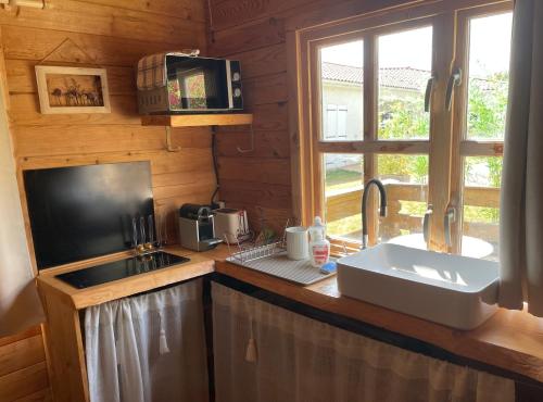 a kitchen with a sink and a counter top at Chalet Boréal in Pujaudran