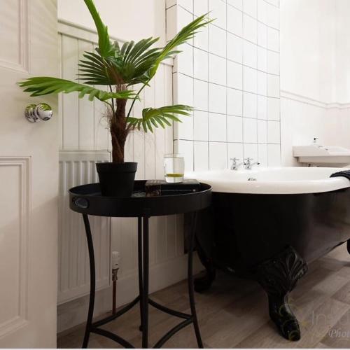 a bathroom with a black tub and a plant on a table at Stylish Town Apt in Hawick