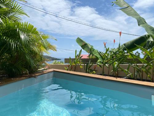 Piscine de l'établissement Les Petits Alizés logement deux chambres et piscine Petite Anse 97217 les Anses d Arlets ou située à proximité