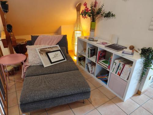 a living room with a couch and a book shelf at Chez Lily et Fred in Châlons-en-Champagne