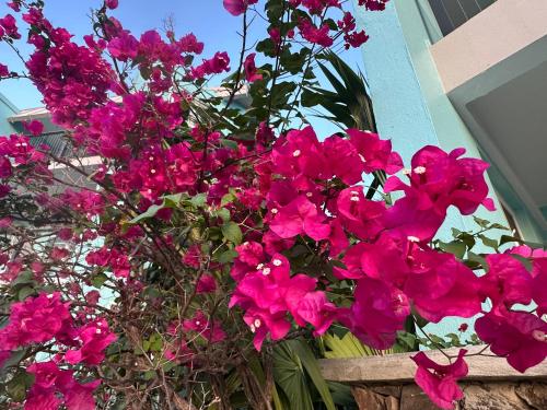 a bunch of pink flowers in a wooden box at Secret Harbour Beach Resort in St Thomas