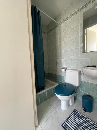 a bathroom with a blue toilet and a sink at Cosy one bedroom flat with terrace in Saint-Lunaire