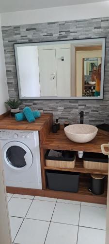 a bathroom with a sink and a washing machine at Charmant Studio CRISTAL COCO Les Trois-Îlets Martinique in Les Trois-Îlets