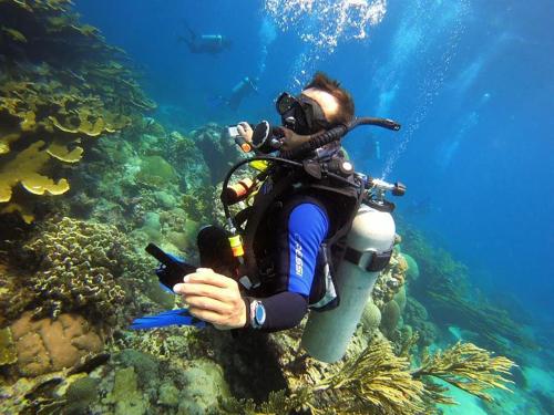 a person is scuba diving on a coral reef at Ocean Lovers Taganga - PADI Dive Center & Hostel in Taganga