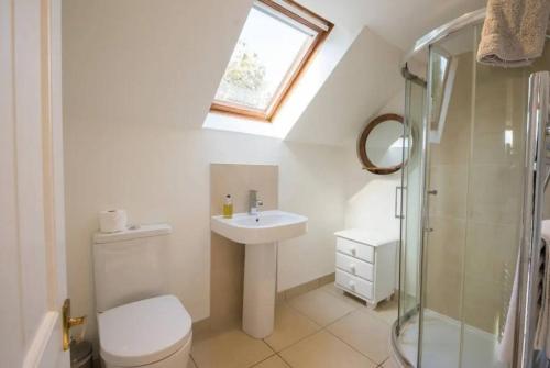 ein Badezimmer mit Toilette, Waschbecken und Dusche in der Unterkunft The Barn on Loch Tay - Hot Tub in Lawers