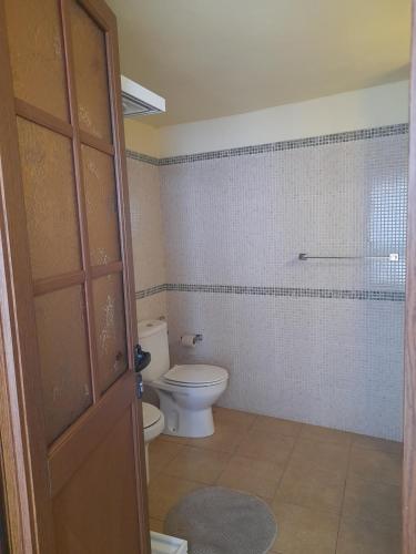 a bathroom with a toilet and a shower at Histórica Casa de la Oje in Agulo