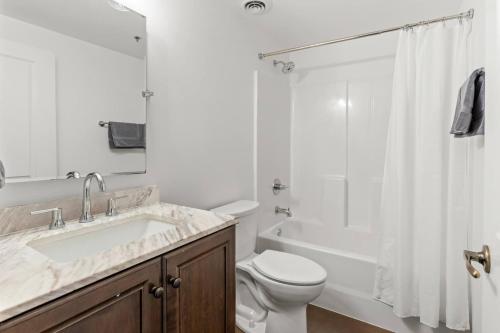 a bathroom with a sink and a toilet and a shower at Brick & Bed, Riverfront Lofts, P 4J in Saint Louis