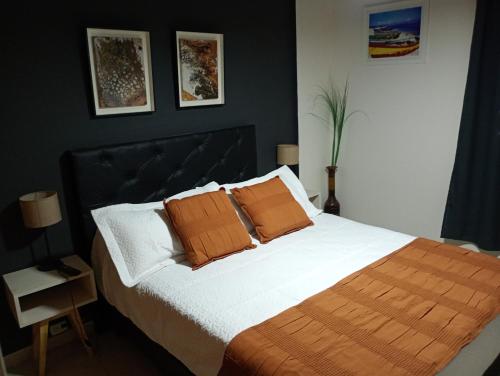 ein Schlafzimmer mit einem Bett mit zwei orangefarbenen Kissen in der Unterkunft NUEVOCENTRO 1 in Cordoba