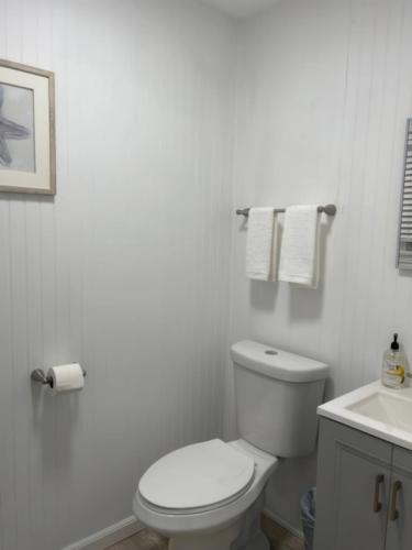 a white bathroom with a toilet and a sink at N Lake Ontario 3BR Home Near Beach Seabreeze in Rochester