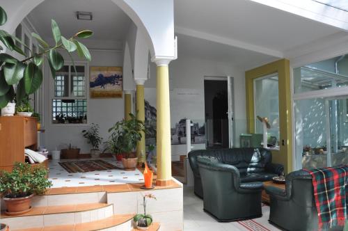 a living room with two chairs and potted plants at Kertes in Veszprém