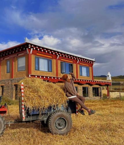a person sitting on a truck with a house on it at Bamei Sonam Farm in Qianning