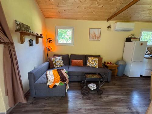 Гостиная зона в Unique Dutch Retro House "Stará Láska" - Natural Slovakia
