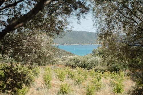 a view of a body of water through trees at A Malgrana - Tente lodge hébergement insolite in Coti-Chiavari