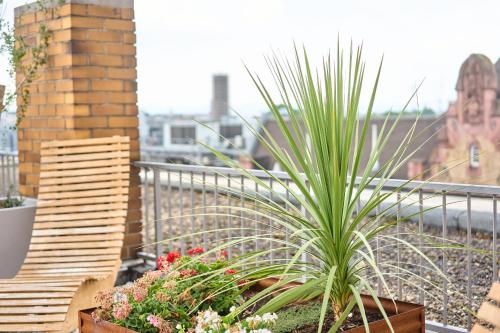 a plant in a pot on a balcony at eXo Boutique Hotel Mannheim - by SuperFly Hotels in Mannheim