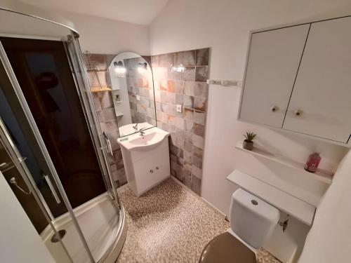 a bathroom with a shower and a toilet and a sink at Gîte Le Temps d'Une Vie in Maché