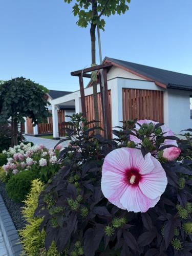 a pink flower in a bush in front of a house at Zator Domki Dreampark in Zator