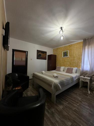 a bedroom with a bed and a chair in it at Pensiunea Carmen in Ranca