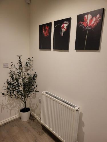 Φωτογραφία από το άλμπουμ του Home Like Yours σε Aveley