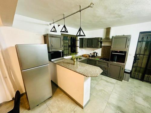 a kitchen with a refrigerator and a sink in it at Residence YG in Palmyre